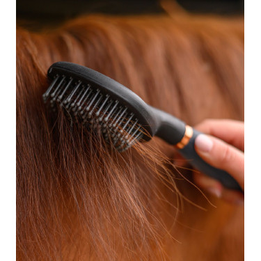 Brosse Waldhausen longs poils avec poignée gel Noir / or rosé
