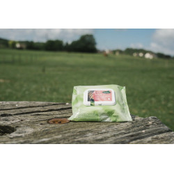 Easy Shine Wipe Ravene Lingettes nettoyantes Easy Shine Wipe Ravene Lingettes nettoyantes