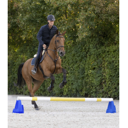 Bloc d’obstacle Cavaletti Waldhausen Bleu