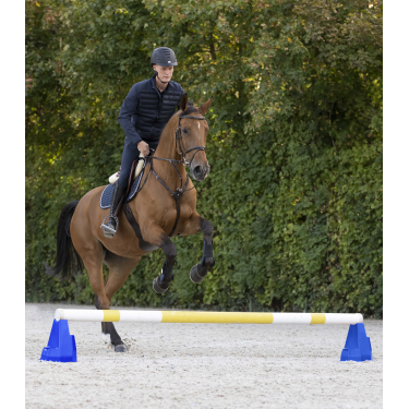 Cavaletti hindernisblok Waldhausen Blauw