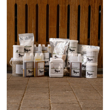 Biotine voor paardenhoeven en vacht – Waldhausen | Equi-Clic Biotine voor paardenhoeven en vacht – Waldhausen | Equi-Clic