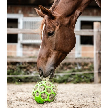Balle à foin Waldhausen Vert Balle à foin Waldhausen Vert