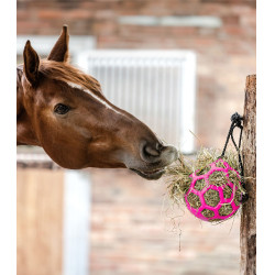 Waldhausen hooinet-bal voor paarden | Equi-Clic Waldhausen hooinet-bal voor paarden | Equi-Clic