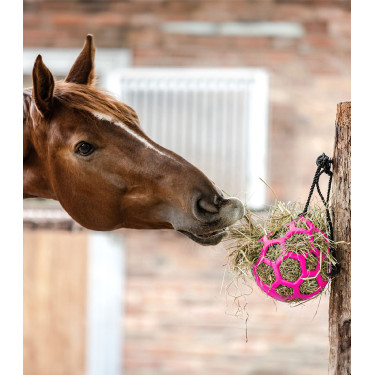Waldhausen hooinet-bal voor paarden | Equi-Clic Waldhausen hooinet-bal voor paarden | Equi-Clic