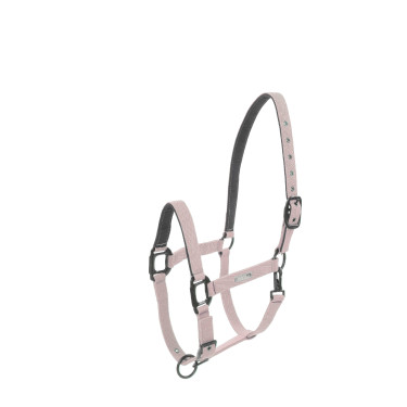 Halster Lami-Cell Midnight – paardrijden | Equi-Clic