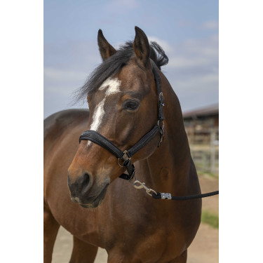 Halster paard Equithème met strass – verstelbaar en comfortabel