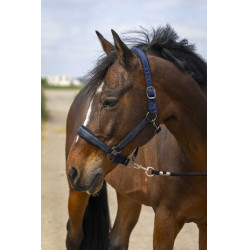 Halster paard Equithème met strass – verstelbaar en comfortabel