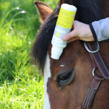 Insectenafweermiddel paard met borstelapplicator – LPC