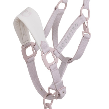 Licol technique avec double réglage et boucles revêtues de caoutchouc Equestro Violet feutré / blanc sable