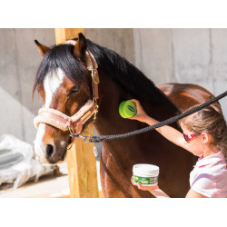 Insectenwerende gel voor paarden - Ravene Insectenwerende gel voor paarden - Ravene