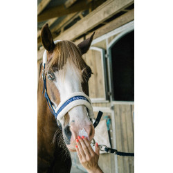 Zonnebrandcrème voor paarden - Ravene Sun Protec
