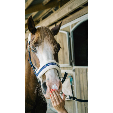 Zonnebrandcrème voor paarden - Ravene Sun Protec