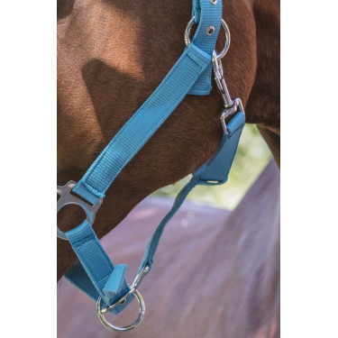 Licol Norton Fluo doublé pour cheval