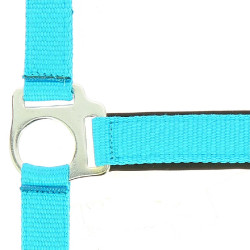 Licol Norton Fluo doublé pour cheval