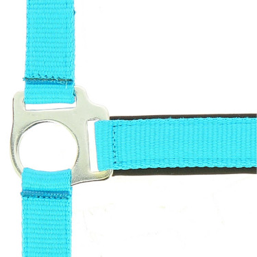 Licol Norton Fluo doublé pour cheval