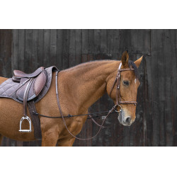 Enrênement élastique réglable pour cheval Enrênement élastique réglable pour cheval