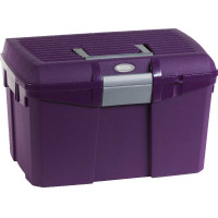 Poetskist Hippo-Tonic Zilver / fuchsia