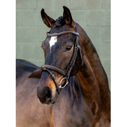 Arika Flash Hoofdstel LeMieux Bruin / zilver