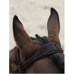 Arika Flash Hoofdstel LeMieux Bruin / zilver