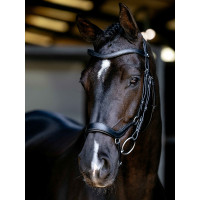 Arika Drop Bridle Zwart/Zilver LeMieux
