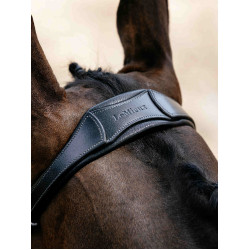 Arika Drop Bridle Zwart/Zilver LeMieux