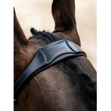 Arika Drop Bridle Zwart/Zilver LeMieux
