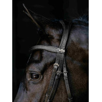 Arika Drop Bridle Zwart/Zilver LeMieux