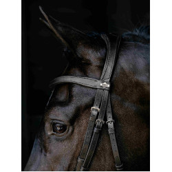 Arika Drop Bridle Zwart/Zilver LeMieux