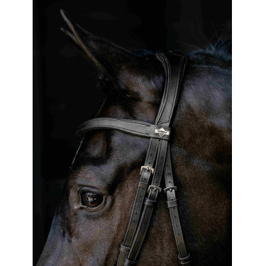 Arika Drop Bridle Zwart/Zilver LeMieux