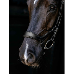 Arika Drop Bridle Zwart/Zilver LeMieux
