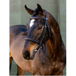 Bridon à caveçon Classique LeMieux