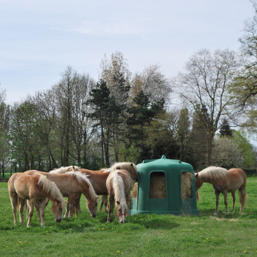 Hexagonale hooiruif RPE groot model La Gée