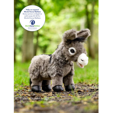 Mini Poney LeMieux Donkey daphne Donkey daphne Blanc