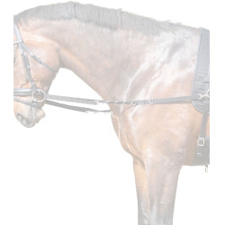 Nylon teugels voor paardensport Star – verstelbaar Nylon teugels voor paardensport Star – verstelbaar