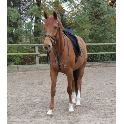 Martingale Star Noir