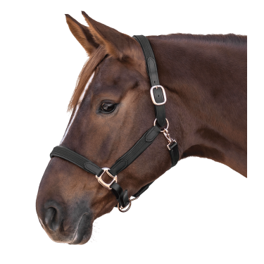 Halster Star Mix Zwart / roségoud