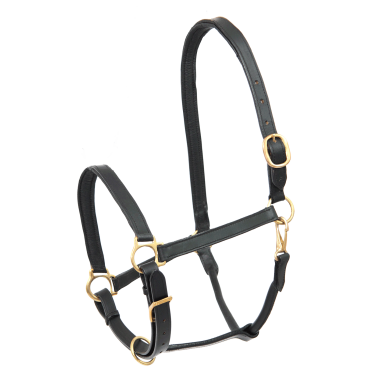 Leren paardenhalster robuust – Equi-Clic Leren paardenhalster robuust – Equi-Clic
