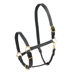 Leren paardenhalster robuust – Equi-Clic Leren paardenhalster robuust – Equi-Clic
