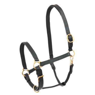 Leren paardenhalster robuust – Equi-Clic Leren paardenhalster robuust – Equi-Clic