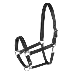 Licol d'équitation cuir Star Diamond réglable