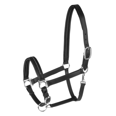 Licol d'équitation cuir Star Diamond réglable