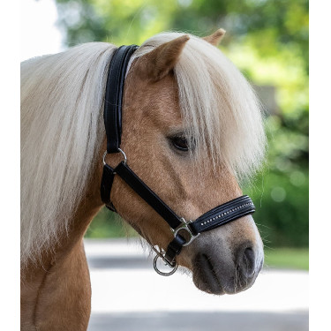 Licol d'équitation cuir Star Diamond réglable