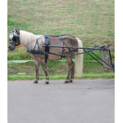 Harnais Star simple Economic poney shetland Noir