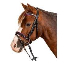 Bridon Star Pinky Noir
