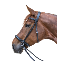 Bridon d'équitation sans mors effet Scawbrig Bridon d'équitation sans mors effet Scawbrig
