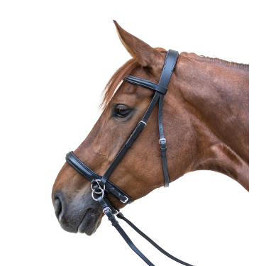 Bridon d'équitation sans mors effet Scawbrig Bridon d'équitation sans mors effet Scawbrig