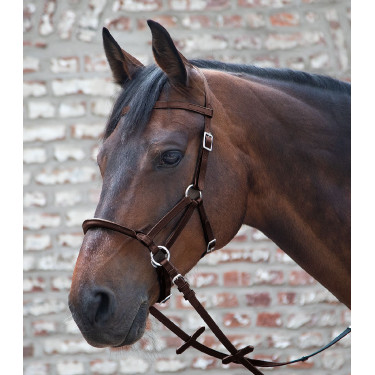 Bridon sans mors Linda tellington-jones Marron
