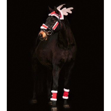Kerstset paard Waldhausen – accessoires paardrijden