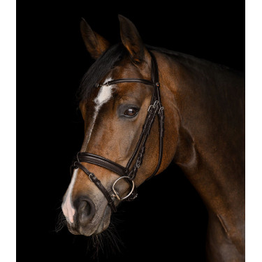 Bridon Waldhausen X-Line Charmbit Marron