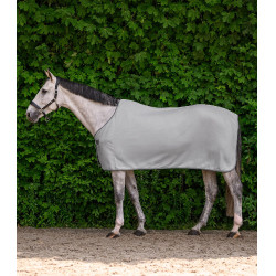 Waldhausen Economic fleece-deken Zilvergrijs